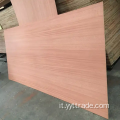 Sapeli Plywood